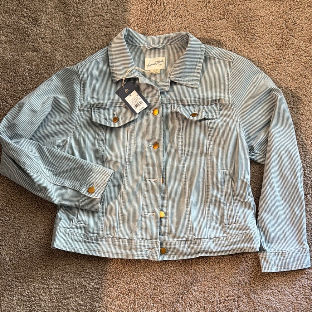 Universal Thread Blue Striped Jacket